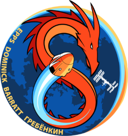 mission patch